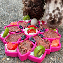 Load image into Gallery viewer, Rover Pet Products - Mandala eTray Slowfeeder eTray: Purple
