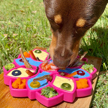 Load image into Gallery viewer, Rover Pet Products - Mandala eTray Slowfeeder eTray: Purple
