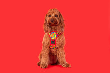 Load image into Gallery viewer, THE ALL ROUNDER DOG HARNESS: BLOCKTASTIC
