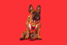 Load image into Gallery viewer, THE ALL ROUNDER DOG HARNESS: BLOCKTASTIC
