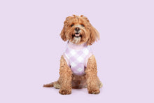 Load image into Gallery viewer, DOG FLEECE VEST: BERRY GINGHAM
