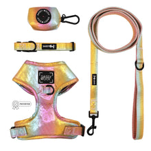 Load image into Gallery viewer, Dog Four Piece Bundle - The Night Life. Adjustable harness, Leash, collar &amp; poop bag holder
