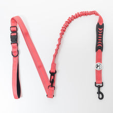Load image into Gallery viewer, ULTIMATE 6 in 1 dog leash
