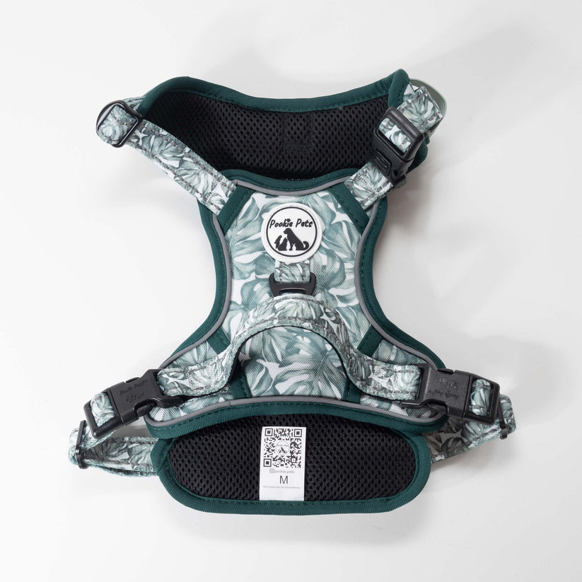 Comfort Explorer Harness: MONSTERAS