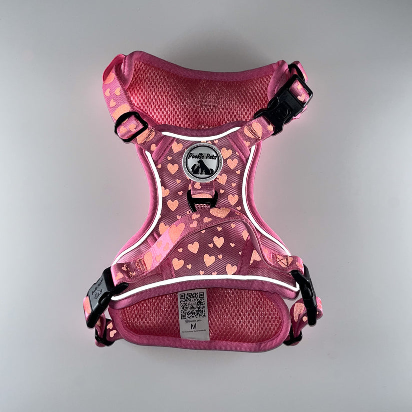 REFLECTIVE Comfort Explorer Harness: HEARTS