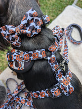 Load image into Gallery viewer, Pretzel Weiner - adjustable harness
