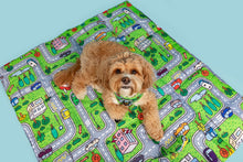 Load image into Gallery viewer, ON-THE-GO PET MAT: Traffic Town
