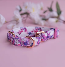 Load image into Gallery viewer, Martingale Dog Collar | Candy Sky Butterfly - Pink Butterflies
