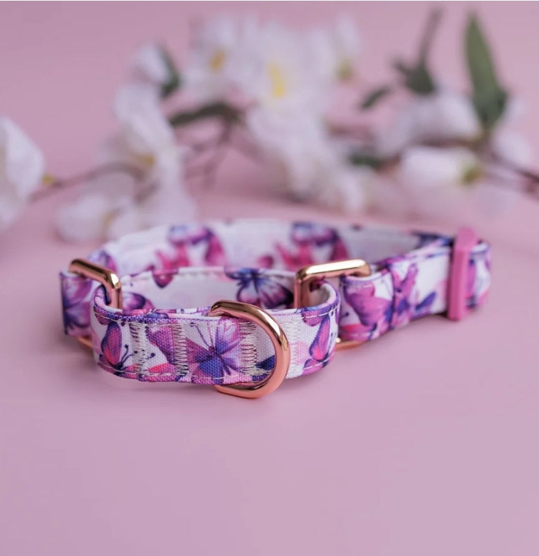 Martingale Dog Collar | Candy Sky Butterfly - Pink Butterflies