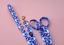 Load image into Gallery viewer, Butterfly Ballet Dog Leash | Dog Lead
