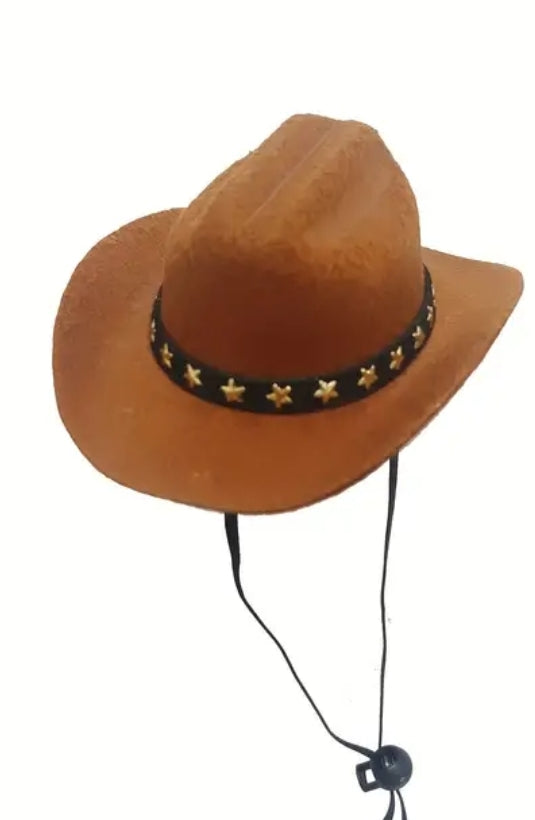 Dog Cow boy hat