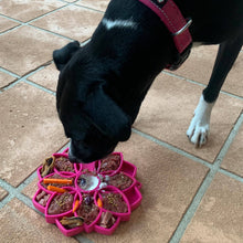 Load image into Gallery viewer, Rover Pet Products - Mandala eTray Slowfeeder eTray: Purple
