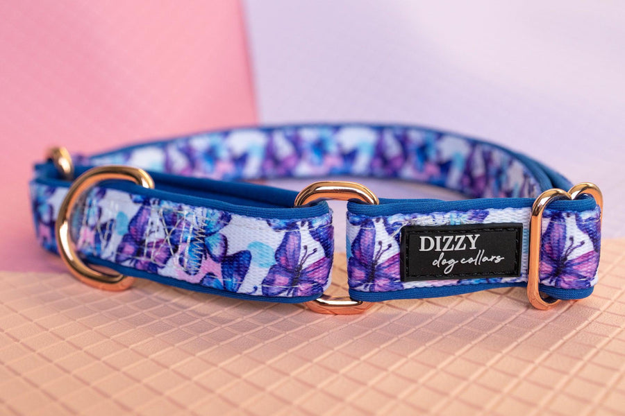 Martingale Dog Collar - Butterfly Ballet