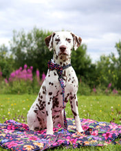 Load image into Gallery viewer, ON-THE-GO PET MAT: Petal Paradise
