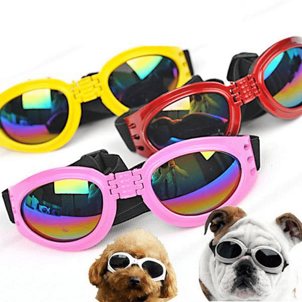 Doggles for Larger Breeds